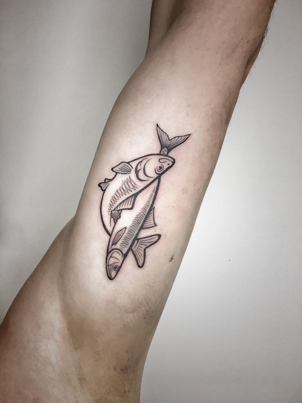 herrings tattoo